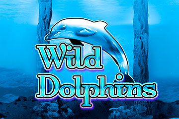 Wild Dolphins