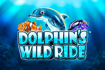 Dolphin's Wild Ride