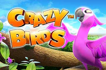 Crazy Birds