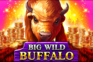 Big Wild Buffalo