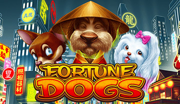 Fortune Dogs