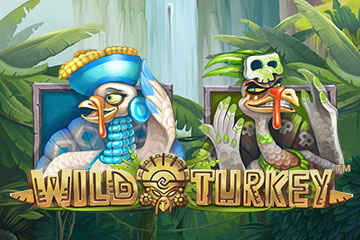 Wild Turkey