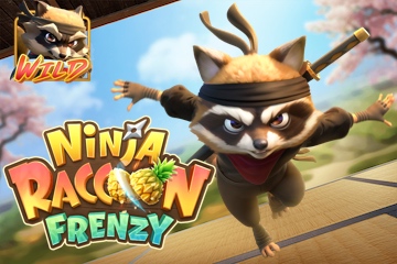 Ninja Raccoon Frenzy