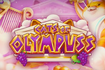Cats of Olympuss