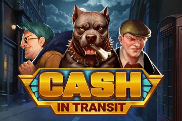 Cash In Transit
