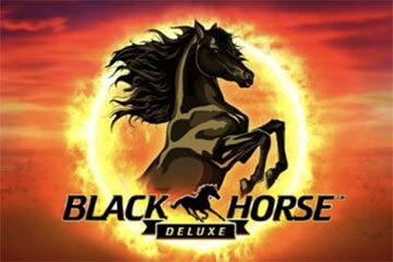 Black Horse Deluxe